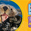 National Geographic Kids Just Joking: 300 Hilarious Jokes, Tricky Tongue Twisters, and Ridiculous Riddles