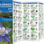 Colorado Trees & Wildflowers: A Folding Pocket Guide to Familiar Plants (Nature Observation North America)