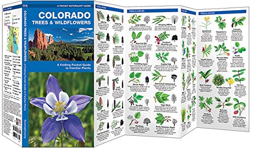 Colorado Trees & Wildflowers: A Folding Pocket Guide to Familiar Plants (Nature Observation North America)