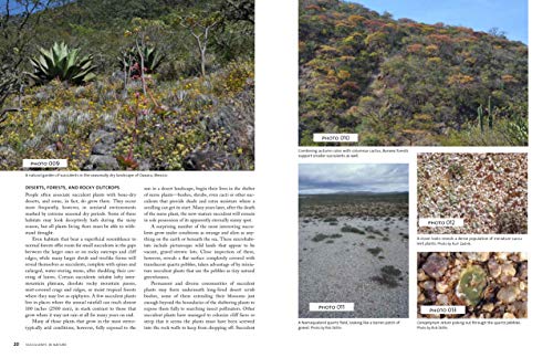 The Timber Press Guide to Succulent Plants of the World: A Comprehensive Reference to More than 2000 Species