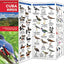 Cuba Birds: A Folding Pocket Guide to Familiar Species (Wildlife and Nature Identification)