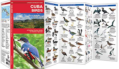 Cuba Birds: A Folding Pocket Guide to Familiar Species (Wildlife and Nature Identification)