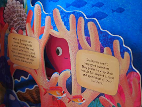 Discovering the Secret World: Coral Reef (Happy Fox Books) Board Book Teaches Kids Ages 3-6 about a Reef, Diving Deeper into the Sea with Every Page, with Educational Fun Facts