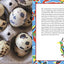 Taste of Tucson: Sonoran-Style Recipes Inspired by the Rich Culture of Southern Arizona