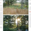 The Know Maintenance Perennial Garden