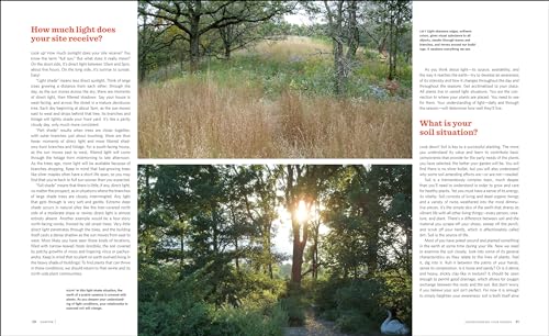 The Know Maintenance Perennial Garden
