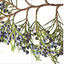 Trees Up Close: The Beauty of Their Bark, Leaves, Flowers, and Seeds (Seeing Series)