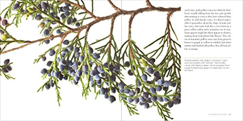 Trees Up Close: The Beauty of Their Bark, Leaves, Flowers, and Seeds (Seeing Series)