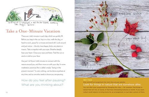 The Curious Nature Guide: Explore the Natural Wonders All Around You