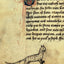 Cats in Medieval Manuscripts (British Library Medieval Guides)