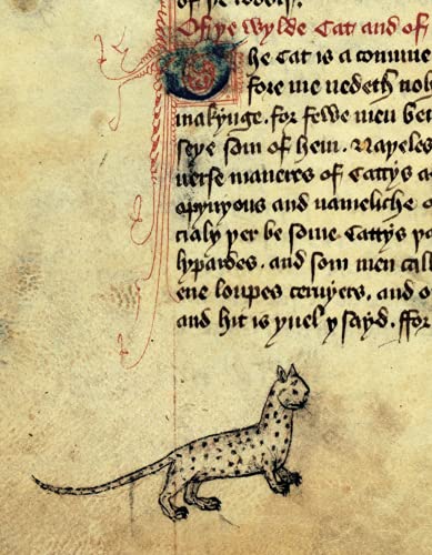 Cats in Medieval Manuscripts (British Library Medieval Guides)