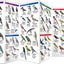 East Africa Birds: A Folding Pocket Guide to Familiar Species in Kenya, Tanzania & Uganda (Wildlife and Nature Identification)