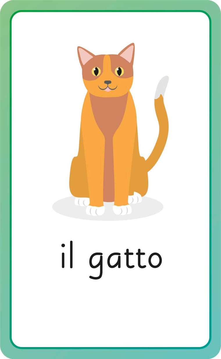Italian for Everyone Junior First Words Flash Cards — back cover