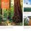 Fodor's Northern California: With Napa & Sonoma, Yosemite, San Francisco, Lake Tahoe & The Best Road Trips (Full-color Travel Guide)