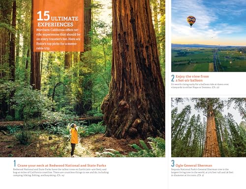Fodor's Northern California: With Napa & Sonoma, Yosemite, San Francisco, Lake Tahoe & The Best Road Trips (Full-color Travel Guide)