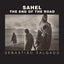 Sahel: The End of the Road (Volume 3) (Series in Contemporary Photography)