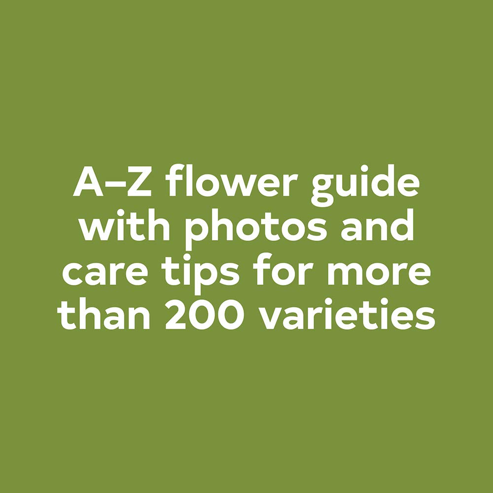 Floret Farm?s A Year in Flowers: Designing Gorgeous Arrangements for Every Season (Floret Farms x Chronicle Books)