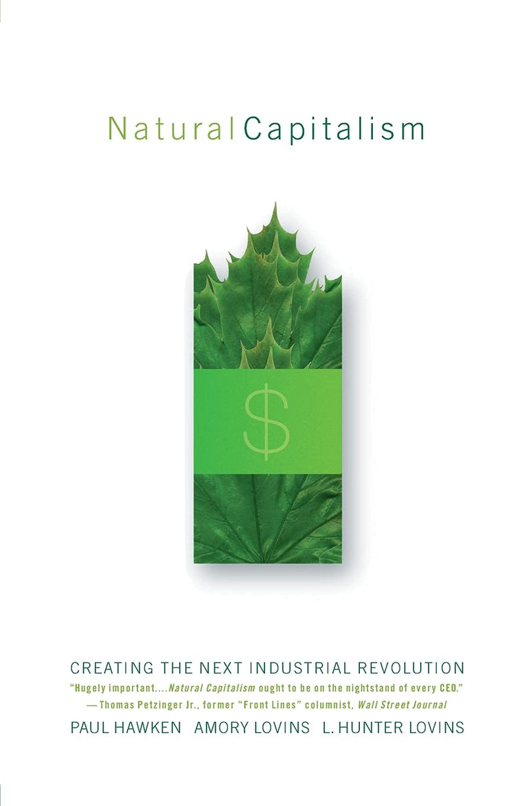 Natural Capitalism: Creating the Next Industrial Revolution
