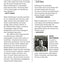 My 1980s and Other Essays by Wayne Koestenbaum