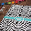 NIV, Adventure Bible, Leathersoft, Zebra Print, Full Color Interior
