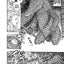 Berserk Deluxe Volume 10