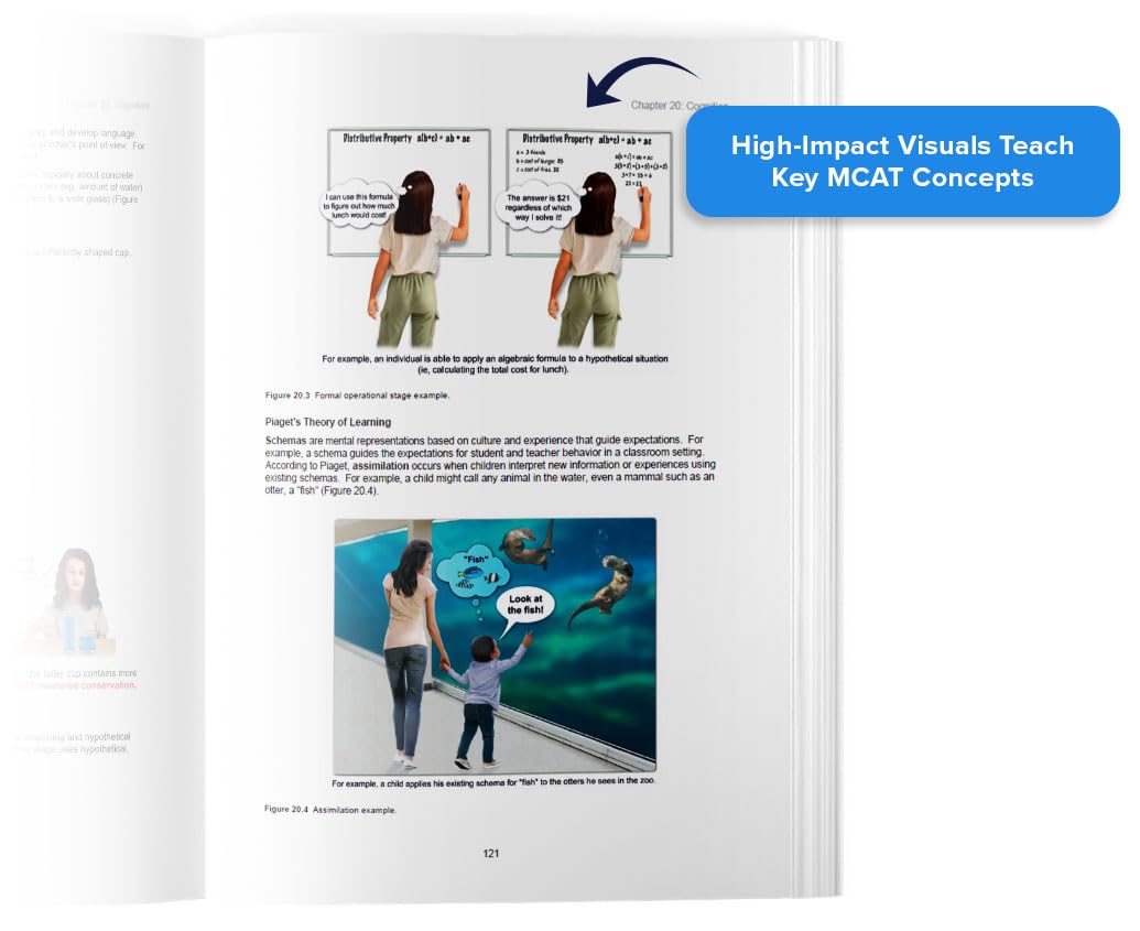 UWorld MCAT Books 2026-2027: 8 MCAT Prep Books (Printed & Interactive Digital), 6 Science Review Books + 2 MCAT CARS Practice Books