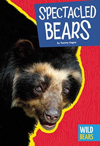 Spectacled Bears (Wild Bears)