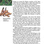 Handy Pocket Guide to Tropical Plants