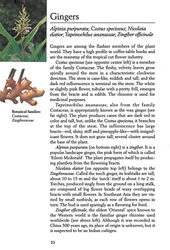 Handy Pocket Guide to Tropical Plants