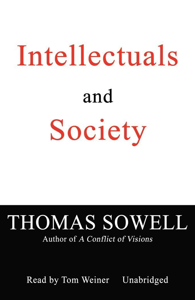 Intellectuals and Society