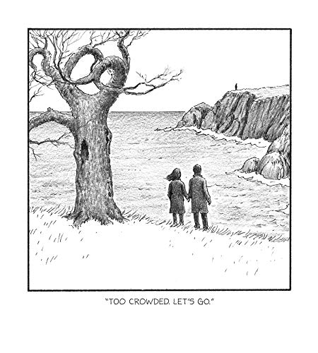 A Wealth of Pigeons: A Cartoon Collection