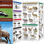 Mammals: A Folding Pocket Guide to Familiar North American Animals (Wildlife and Nature Identification)