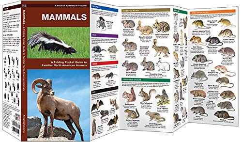 Mammals: A Folding Pocket Guide to Familiar North American Animals (Wildlife and Nature Identification)