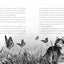 A Wolf Called Fire: The Epic Adventure of a Pack of Wolf Pups in the Wilderness-a Stand-Alone Companion to the New York Times Bestselling A Wolf Called Wander