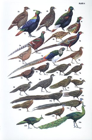 A Guide to the Birds of Southeast Asia