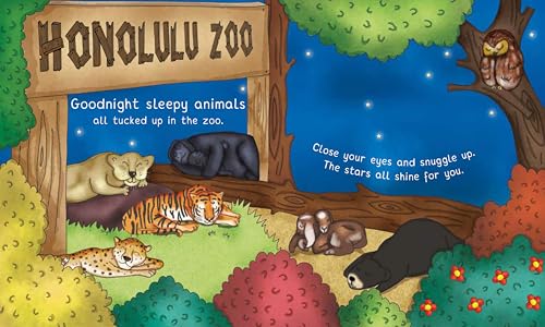 Night-Night Hawaii: A Sweet Goodnight Board Book for Kids and Toddlers
