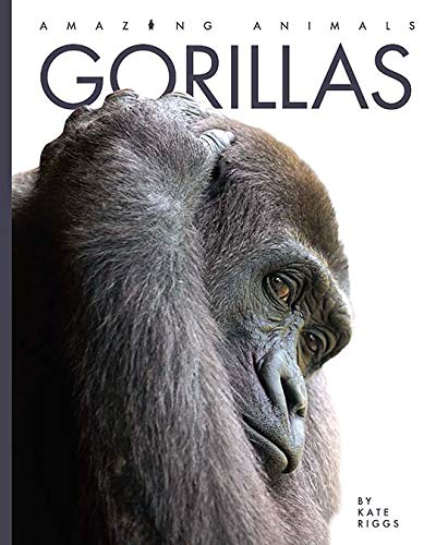 Gorillas (Amazing Animals)