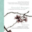 Graceful Passages: A Companion for Living and Dying (Wisdom)