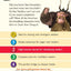 How to Train Your Dragon: Meet the Dragons (I Can Read Book