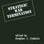 Strategic War Termination (Praeger Security International)
