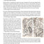 Minjian: The Rise of Chinas Grassroots Intellectuals (Global Chinese Culture)