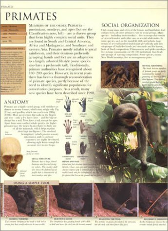Animal: The Definitive Visual Guide to the World's Wildlife