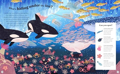Ocean Explorer: A Search-and-Find Book (Search-and-Find Explorers)