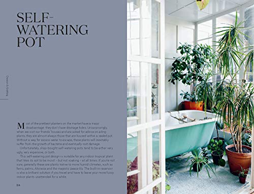 Root, Nurture, Grow: The Essential Guide to Propagating and Sharing Houseplants