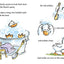 Click, Clack, Surprise!/Ready-to-Read Level 2 (A Click Clack Book)