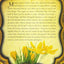 Yellow Crocus