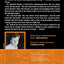 Reborn: Book IV of the Adversary Cycle (Adversary Cycle/Repairman Jack, 4)