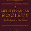 Mediterranean Society, An Abridgment in One Volume by S. D.