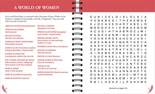 Brain Games - Large Print Bible Word Search (Red) (Brain Games - Bible)