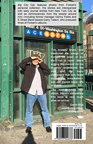 Big City Cat: My Life in Folk-Rock